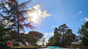 A clear pool with a view of the sky and trees.