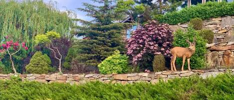 DĂ©tail de lâextĂ©rieur