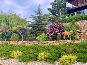 Ein angelegter Garten mit verschiedenen Bäumen, Sträuchern und einer Statue eines Rehs.
