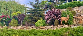 Serene Lake & Mountain View Retreat in Kettle Valley"