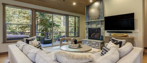 TV, fireplace, books