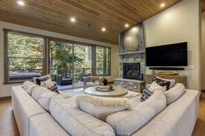 TV, fireplace, books