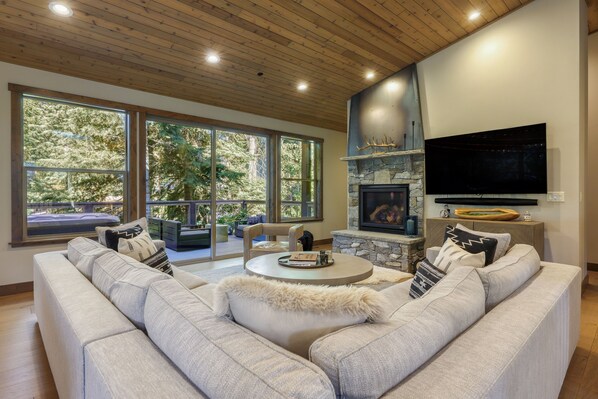 TV, fireplace, books