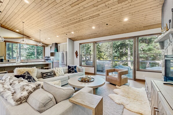 TV, fireplace, books