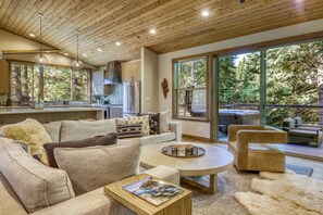 TV, fireplace, books