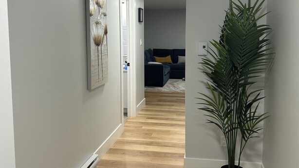 A hallway with wooden flooring, a potted plant, and a living area with a couch and a coffee table in the background. - Charming 1-bedroom apartment in enchanting Moncton with WiFi (Moncton)