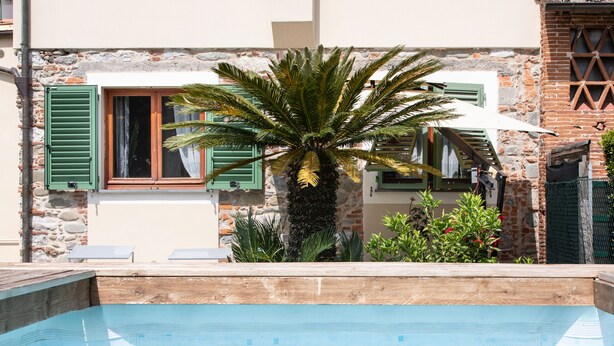 A swimming pool area with a stone wall and a palm tree. - Casa I Tre Cipressi with Swimming Pool (Capannori)