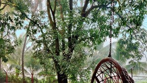 Una poltrona sospesa con cuscini arancioni in un giardino con pavimento in mattoni e un piccolo stagno.