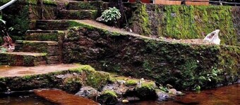 Hornbill Paradise Munnar