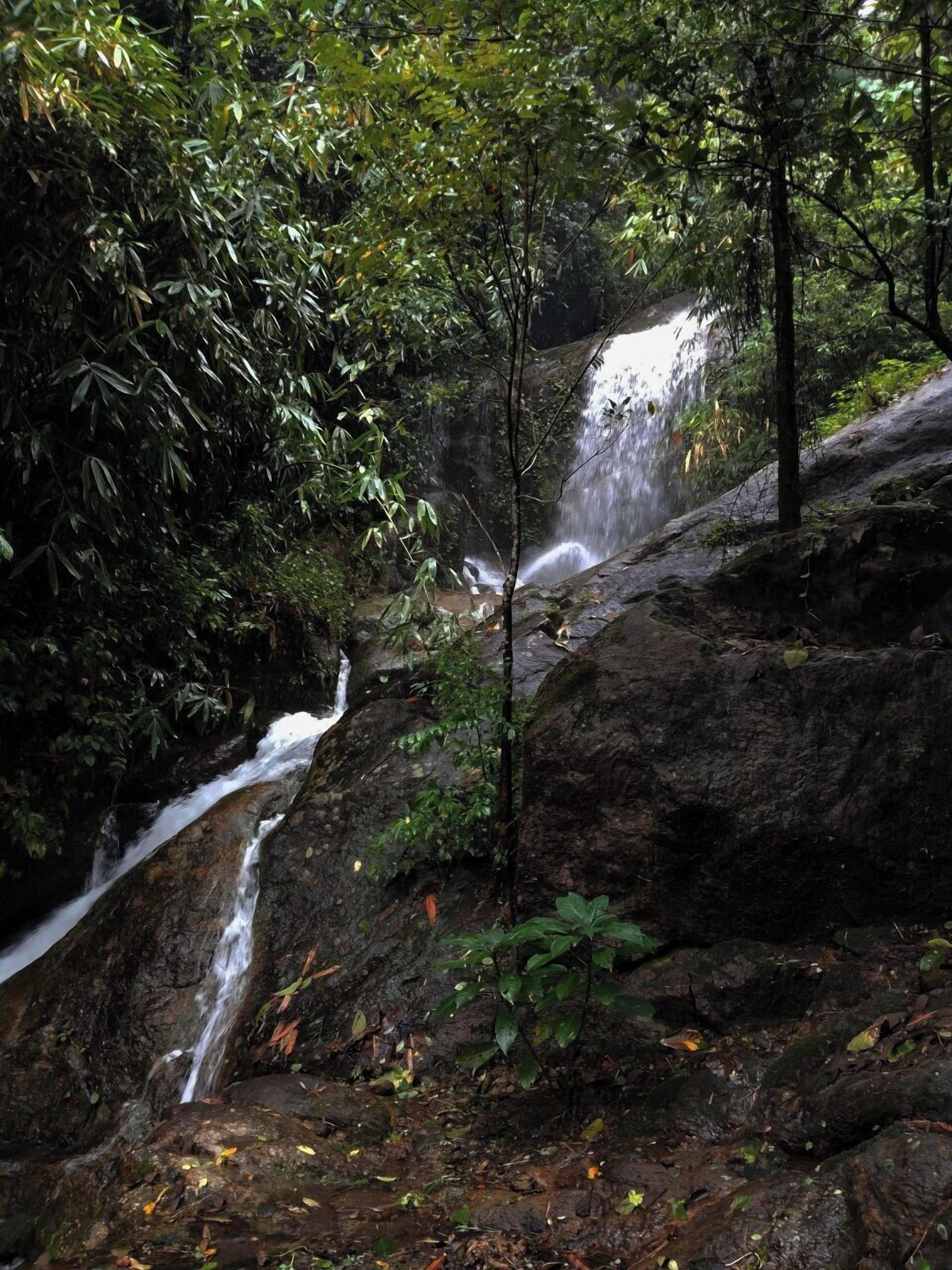 Economy Cottage, Balcony, River View | Garden view