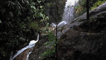 Economy Cottage, Balcony, River View | Garden view