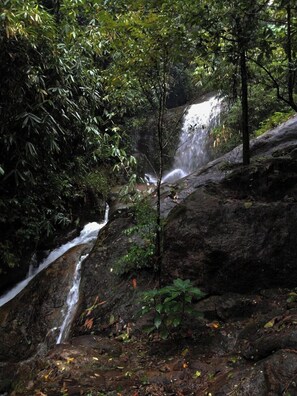 Cottage Ekonomi, balkon, pemandangan sungai | Pemandangan taman