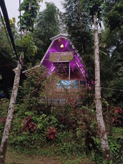 慕那尔犀鸟天堂