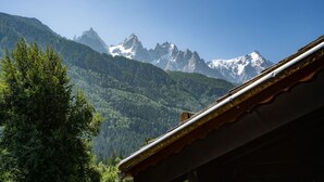 Paisaje montañoso con picos nevados y denso bosque.