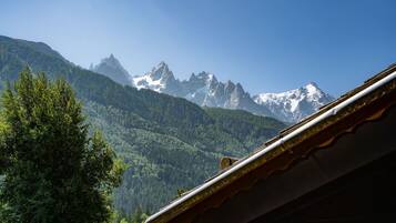 A mountain landscape with snow-capped peaks and dense forest.