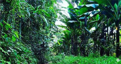 Acrewood Farmhouse, heritage-style house, soulful retreat into the nature.