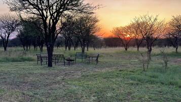 A park with benches and trees during sunset.