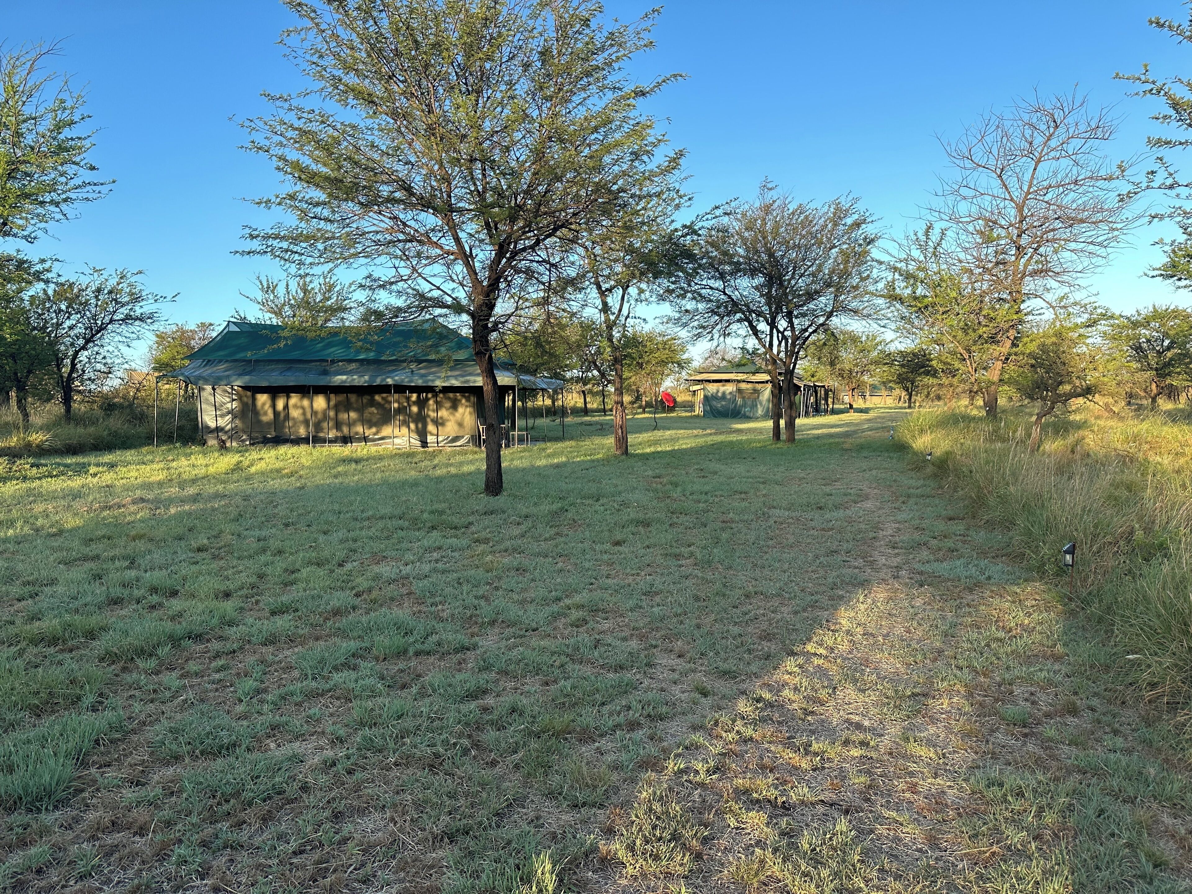 A grassy field with a tent and a small structure in the background.