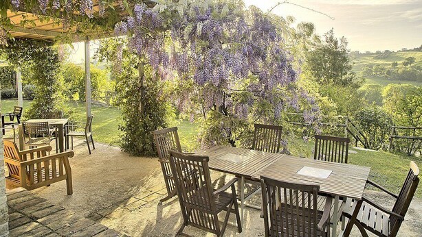 Un patio al aire libre con una mesa y sillas de madera, rodeado de abundante follaje y enredaderas de glicina morada.