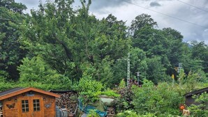 A wooden cabin with a small garden area, surrounded by dense trees and greenery. - Vacation apartment with mountain view for max. 2 persons, 36 sqm (Bad Reichenhall)