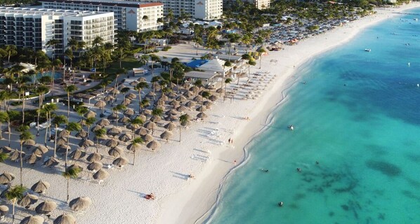 A beach resort with rows of palm trees, a sandy beach, and a hotel building in the background.