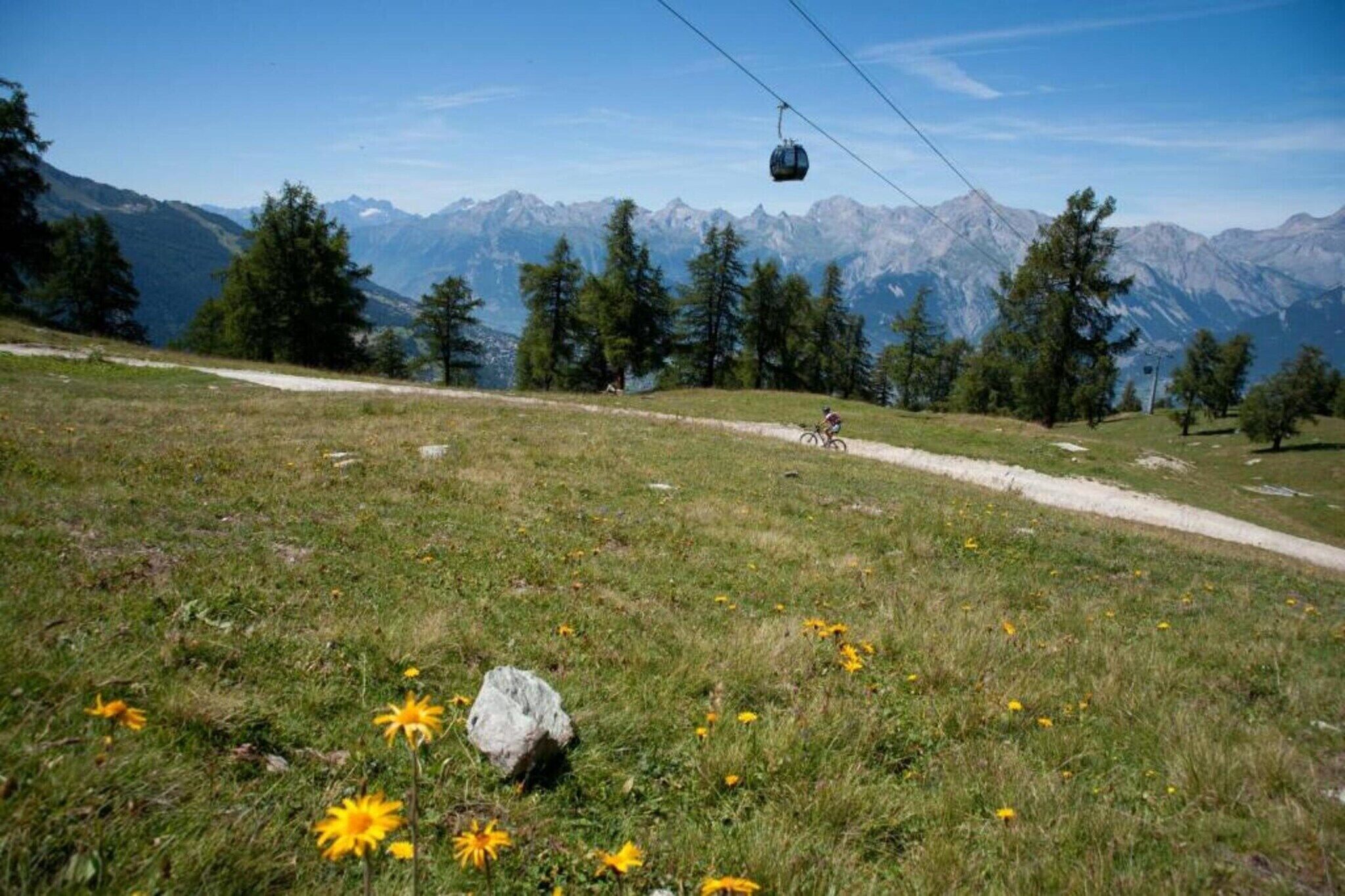Un paisaje montañoso con un telesilla, un sendero de tierra y un ciclista.