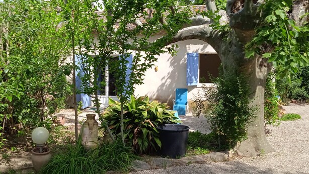 A garden with a stone archway, potted plants, and a rustic building with blue shutters. - Comfortable country house with swimming pool (Saint-Rémy-de-Provence)