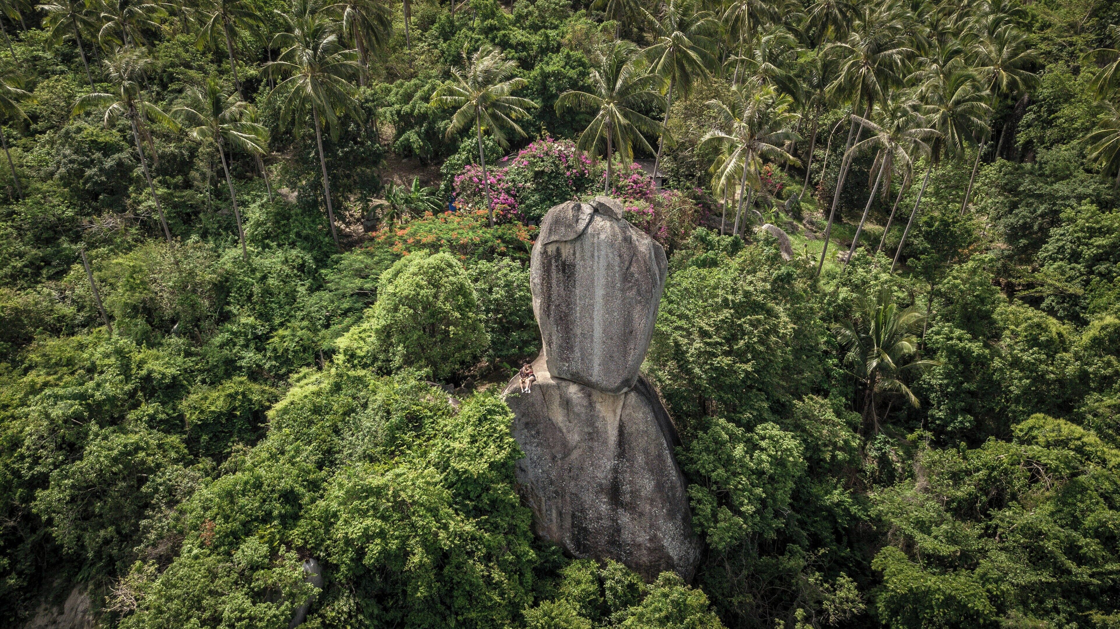Une grande formation rocheuse entourée d’une végétation tropicale dense.