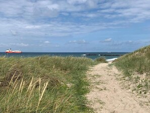 A coastal path leading to the sea with a ship in the distance.