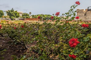 المنطقة المحيطة بالمنشأة