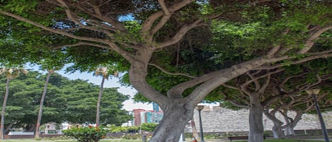 Overnattingsstedets uteområder