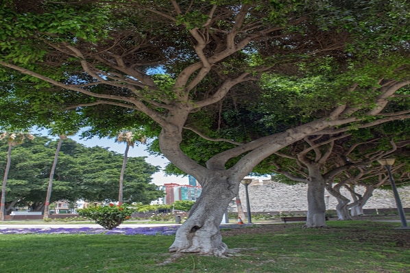 Enceinte de l’hébergement