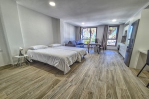 1 chambre, fer et planche à repasser, accès Internet