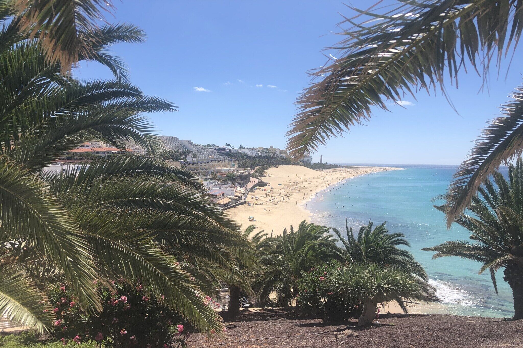 Playa en los alrededores 
