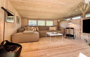 Fernseher, Kamin
