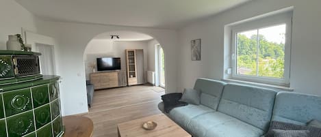 Smart-TV, Kamin