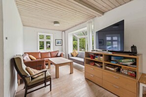 Fernseher