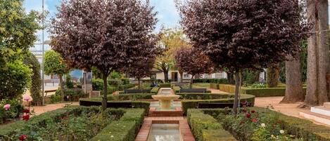 Terrein van de accommodatie