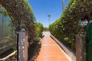 Un sendero conduce a una piscina, bordeado por abundante vegetación y un cielo azul despejado.