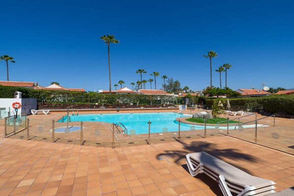 Una piscina con solárium alicatado, palmeras y sillones de descanso.