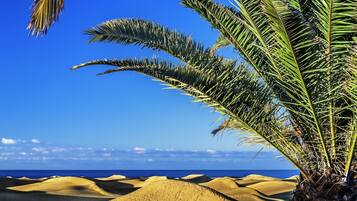 Playa