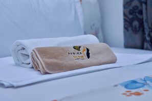 Séchoir à cheveux, serviettes fournies, savon, papier de toilette