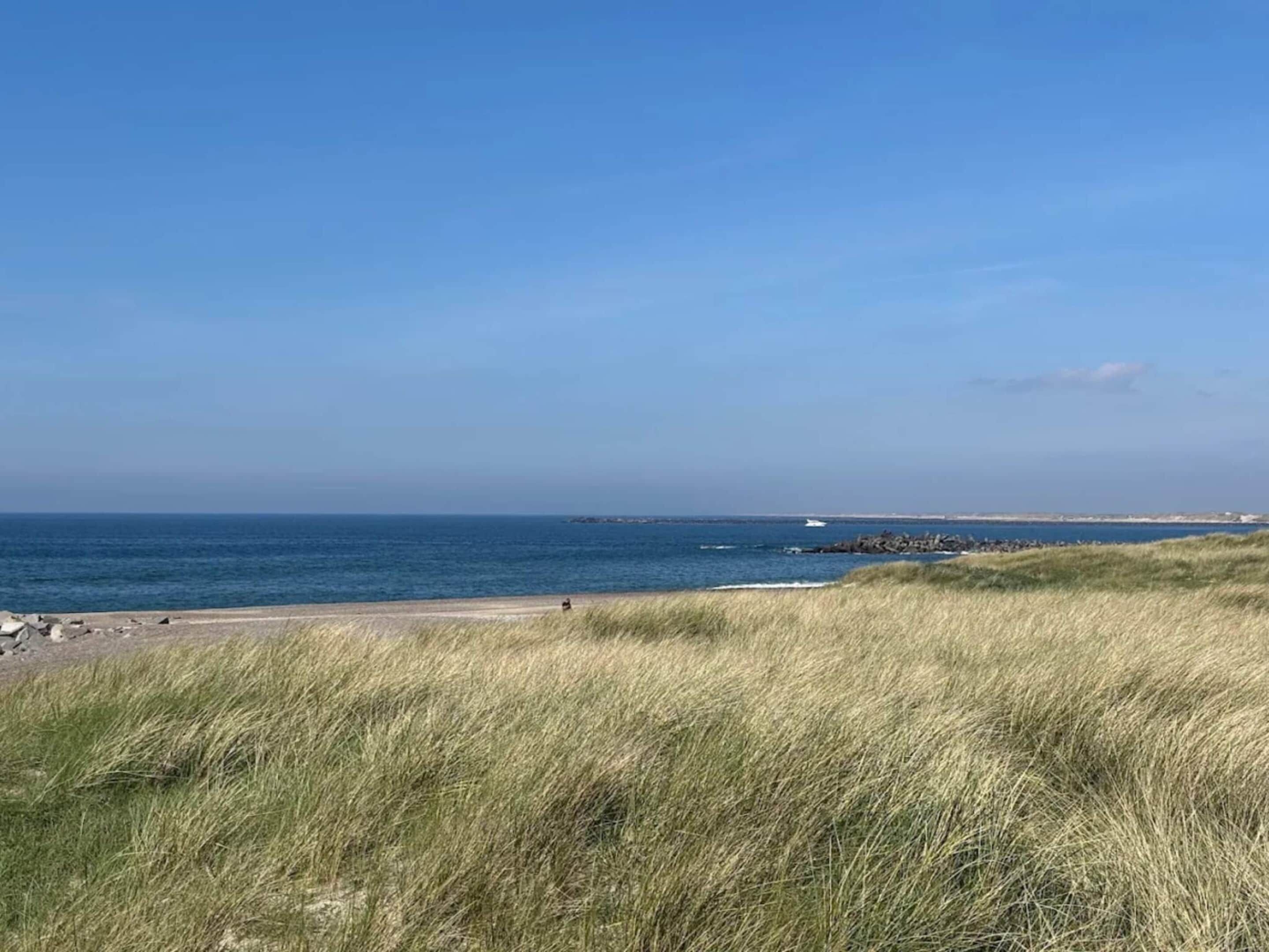 A coastal landscape with a beach, grassy dunes, and a clear blue sky.