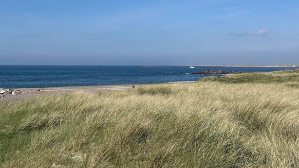 A coastal landscape with a sandy beach, grassy dunes, and a clear blue sky. - 4 Person Holiday Home in Thyboron (Thyborøn)