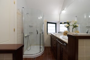 Shower, hair dryer