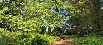 Village House in Leende near Star Restaurant