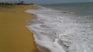 Une plage avec un rivage sablonneux et des vagues douces.