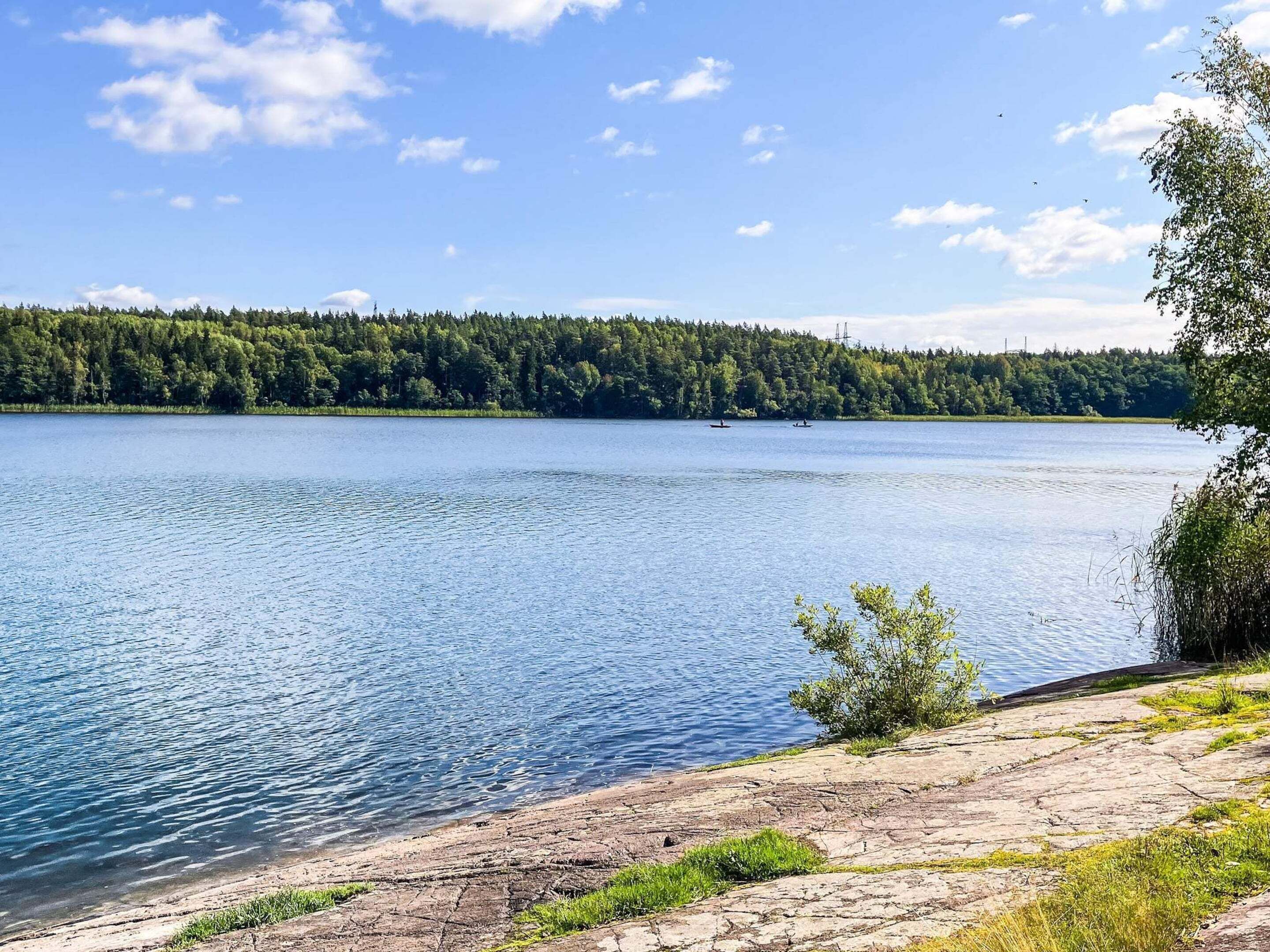 A lake with a rocky shoreline and dense forest in the background.