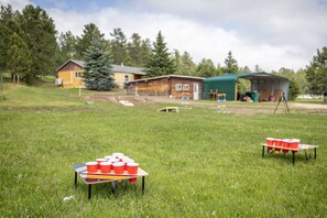 Property grounds - Custer Serene – Peaceful Retreat (Custer)