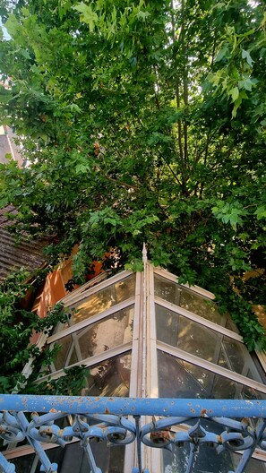 Udsigt fra en balkon over en bro med gelænder, omgivet af frodigt grønt løv.